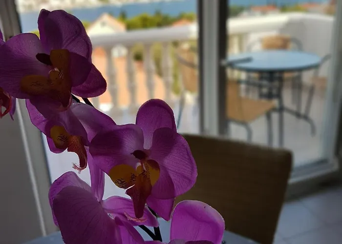 Apartment Adriatic *